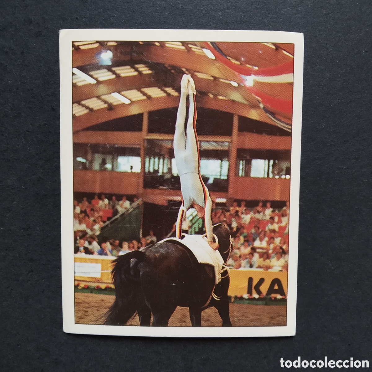 Coleccionismo cromos antiguos: CROMO - N&ordm; 153 - CABALLOS, COMPA&Ntilde;EROS DEL HOMBRE DESDE HACE SIGLOS - PANINI - A&Ntilde;O 1995
