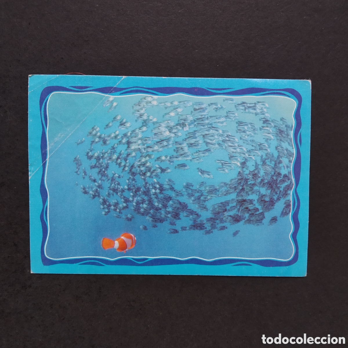 Colecionismo Cromos antigos: CROMO - N&ordm; 108 - BUSCANDO A NEMO - PANINI - A&Ntilde;O 2003