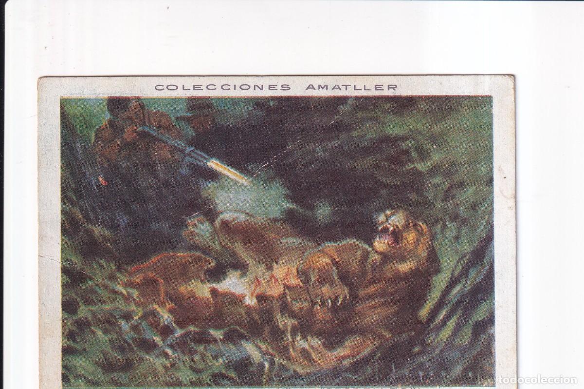 Coleccionismo cromos antiguos: COLECCION AMATLLER: NUMERO 45 , LEONA .- CHOCOLATE AMATLLER