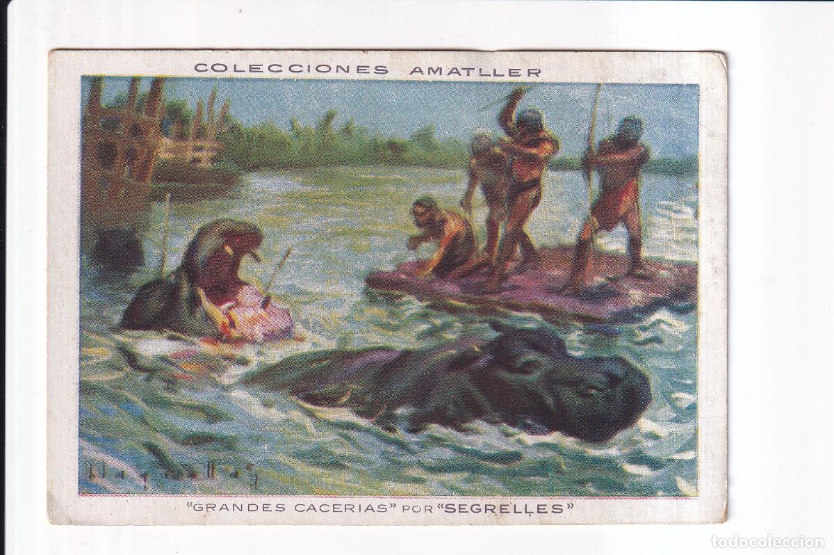 Coleccionismo cromos antiguos: COLECCION AMATLLER: NUMERO 44 , HIPOPOTAMO .- CHOCOLATE AMATLLER