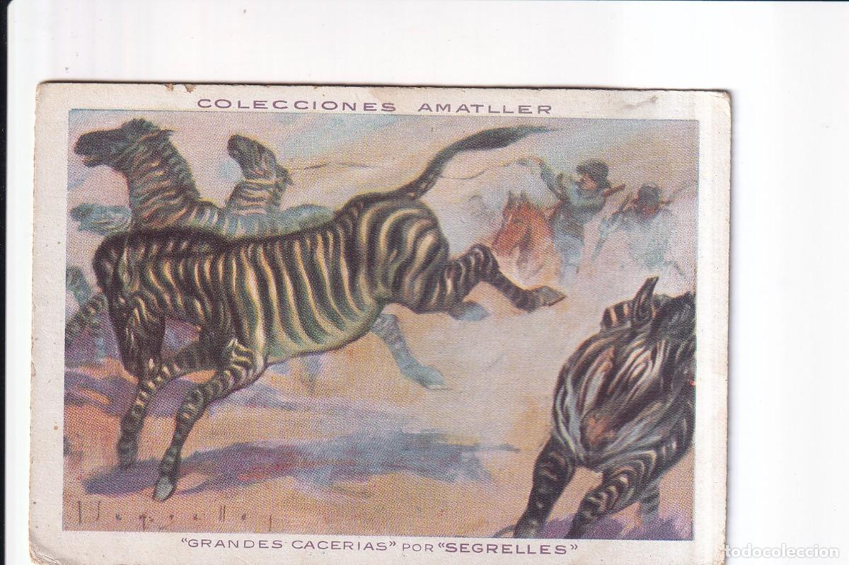 Coleccionismo cromos antiguos: GRANDES CACERIAS POR &rdquo;SEGRELLES&rdquo;: NUMERO 35 , ZEBRA .- CHOCOLATE AMATLLER