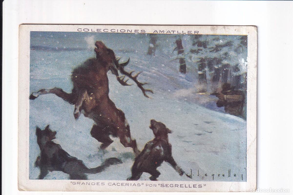 Coleccionismo cromos antiguos: GRANDES CACERIAS POR &rdquo;SEGRELLES&rdquo;: NUMERO 28 , CIERVO .- CHOCOLATE AMATLLER