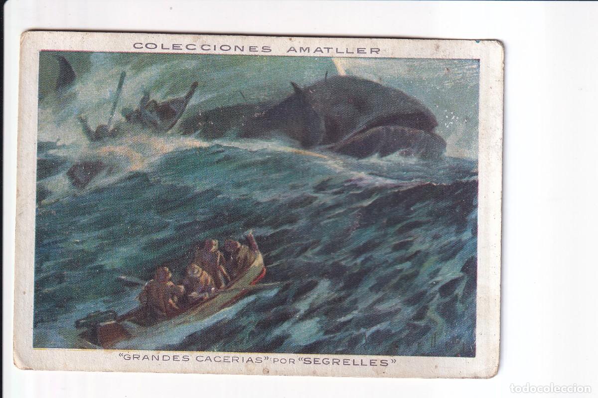 Coleccionismo cromos antiguos: GRANDES CACERIAS POR &rdquo;SEGRELLES&rdquo;: NUMERO 15 , BALLENA .- CHOCOLATE AMATLLER