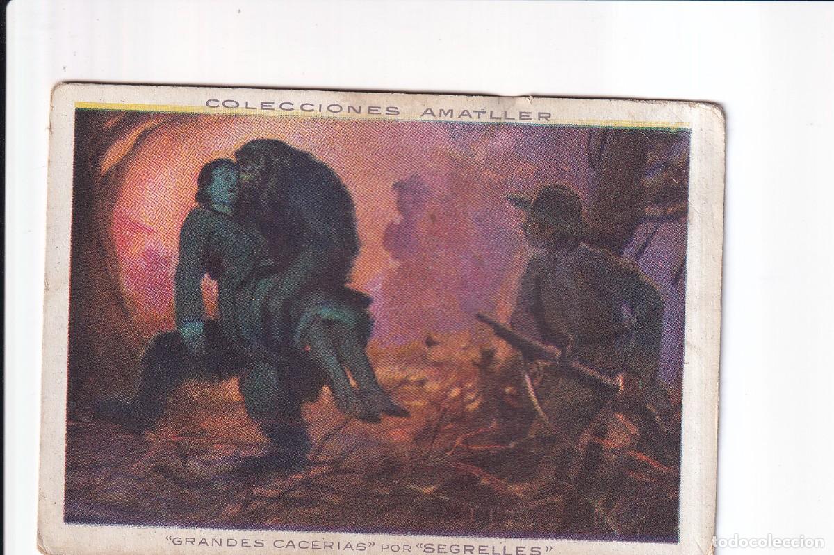 Coleccionismo cromos antiguos: GRANDES CACERIAS POR &rdquo;SEGRELLES&rdquo;: NUMERO 48 , GORILA .- CHOCOLATE AMATLLER