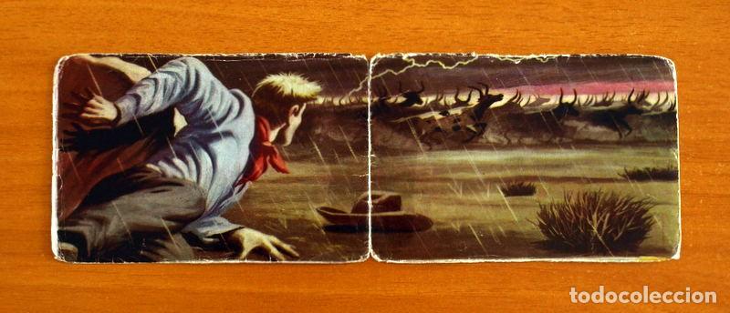 Coleccionismo cromos antiguos: Lejano Oeste - N&ordm; 235-236 La Estampida - Ediciones Generales A&ntilde;o 1956