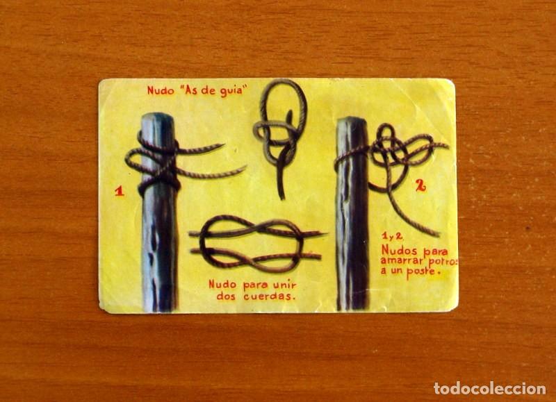 Coleccionismo cromos antiguos: Lejano Oeste - N&ordm; 279 Los Nudos - Ediciones Generales A&ntilde;o 1956