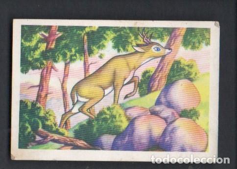 Coleccionismo cromos antiguos: CROMO - BAMBI N&ordm; 173, EDITORIAL FHER 1970. SIN PEGAR.