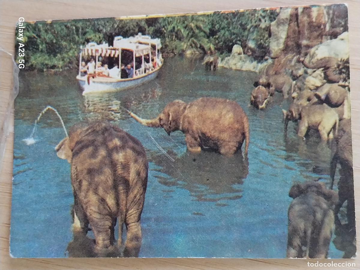 Coleccionismo cromos antiguos: DISNEY BIMBO A&Ntilde;O 1977 VOLANDO AEROMEXICO CROMO 30 *** SIN PEGAR NUNCA PASTELITOS