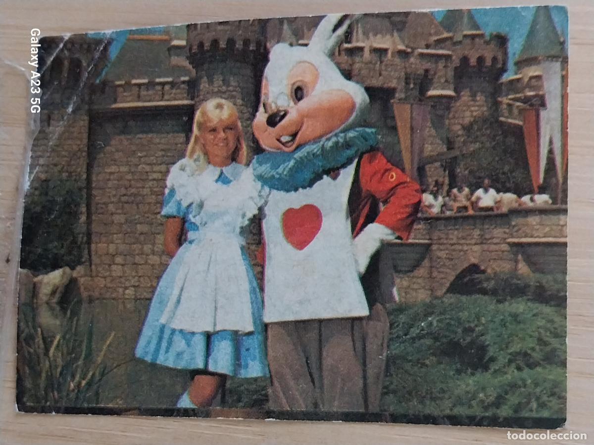 Coleccionismo cromos antiguos: DISNEY BIMBO A&Ntilde;O 1977 VOLANDO AEROMEXICO CROMO 44 ALICIA CONEJO SIN PEGAR NUNCA PASTELITOS