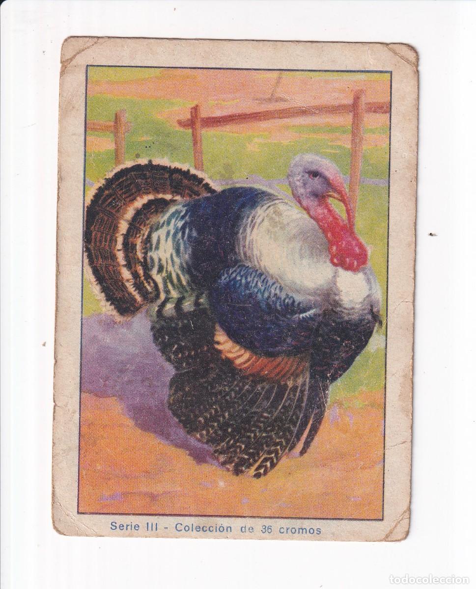 Coleccionismo cromos antiguos: HISTORIA NATURAL : NUMERO 28 , SERIE III : CHOCOLATES EDUARDO PI