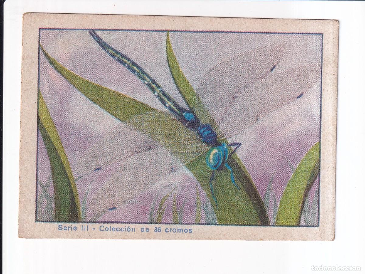 Coleccionismo cromos antiguos: HISTORIA NATURAL : NUMERO 19 , SERIE III : CHOCOLATES EDUARDO PI