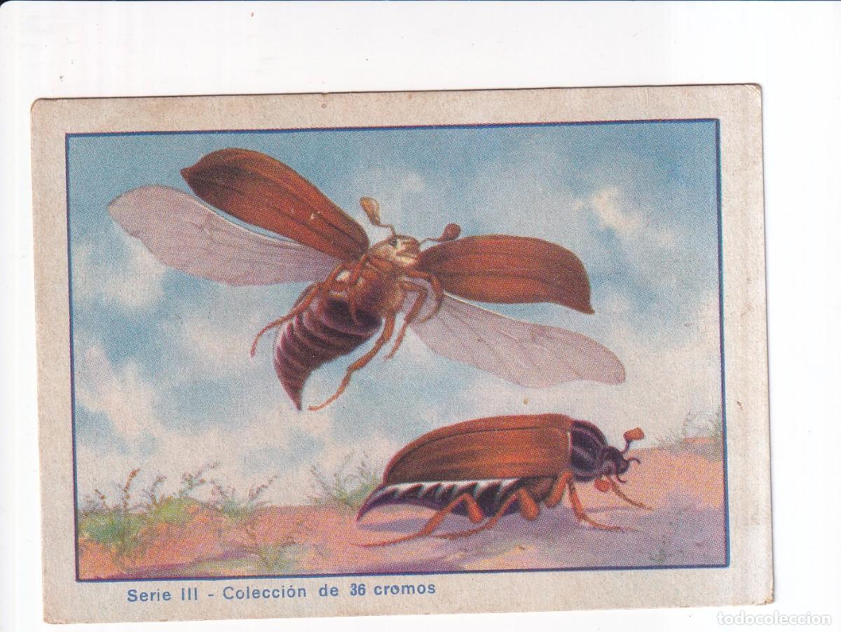 Coleccionismo cromos antiguos: HISTORIA NATURAL : NUMERO 23 , SERIE III : CHOCOLATES EDUARDO PI