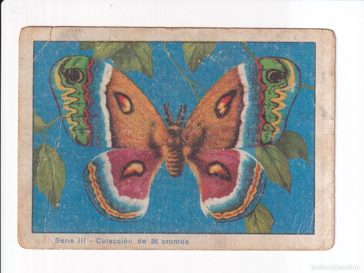 Coleccionismo cromos antiguos: HISTORIA NATURAL : NUMERO 14 , SERIE III : CHOCOLATES EDUARDO PI
