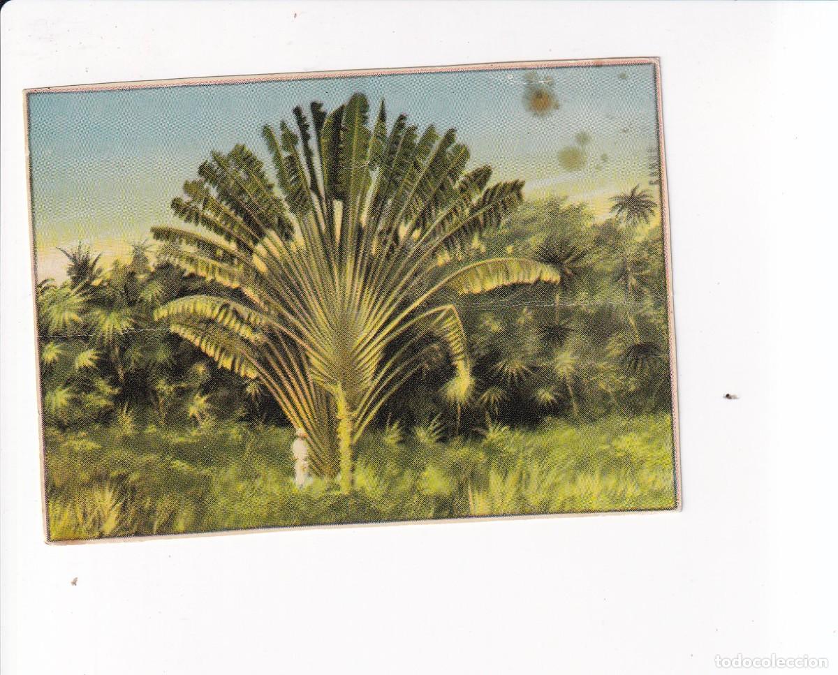 Coleccionismo cromos antiguos: MARAVILLAS DEL MUNDO: ALBUM 1 .- NUMERO : 99