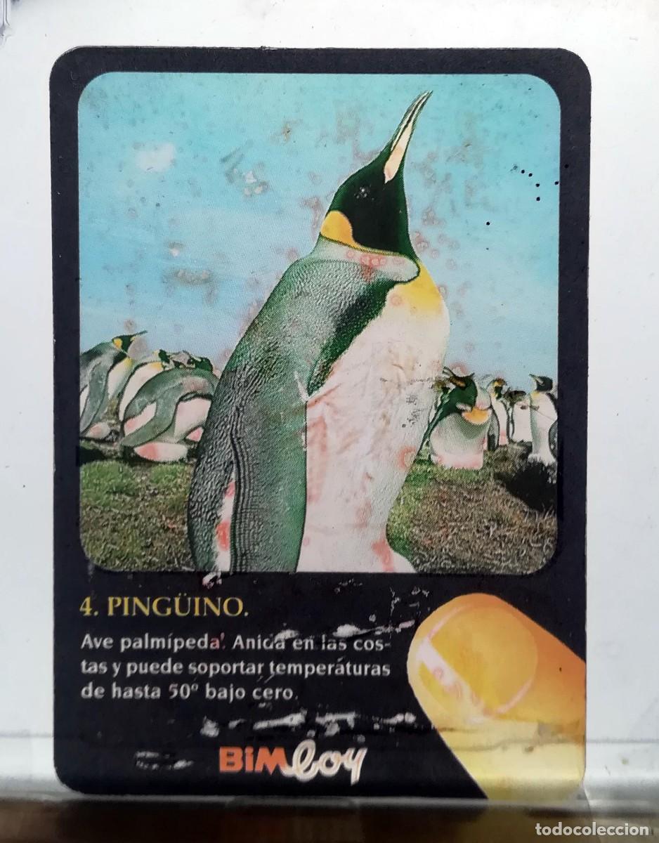 Coleccionismo cromos antiguos: Cromo Diapositiva Bimboy N&ordm; 4. Ping&uuml;ino.