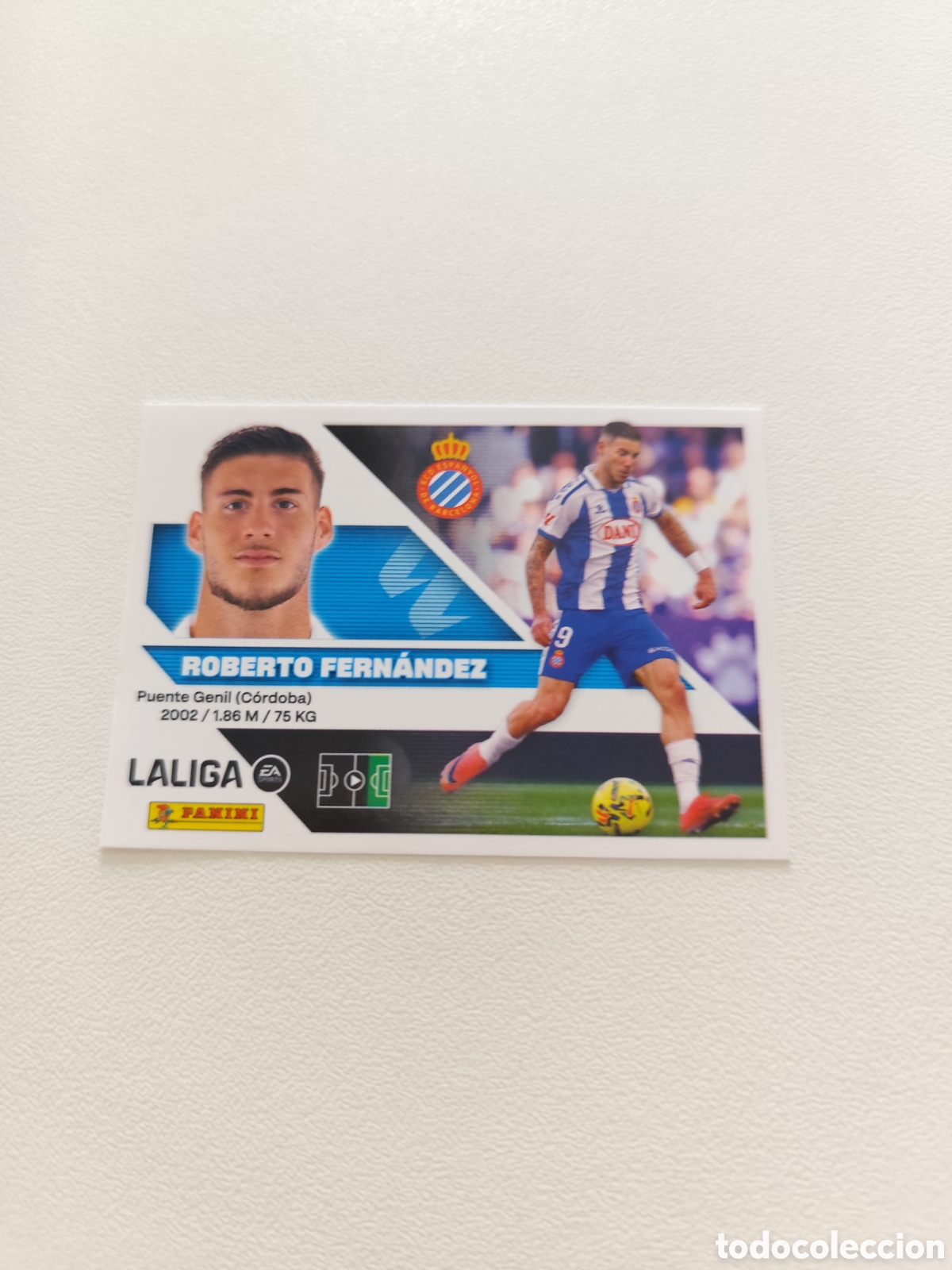 Coleccionismo cromos antiguos: Roberto Fern&aacute;ndez 2026/2027