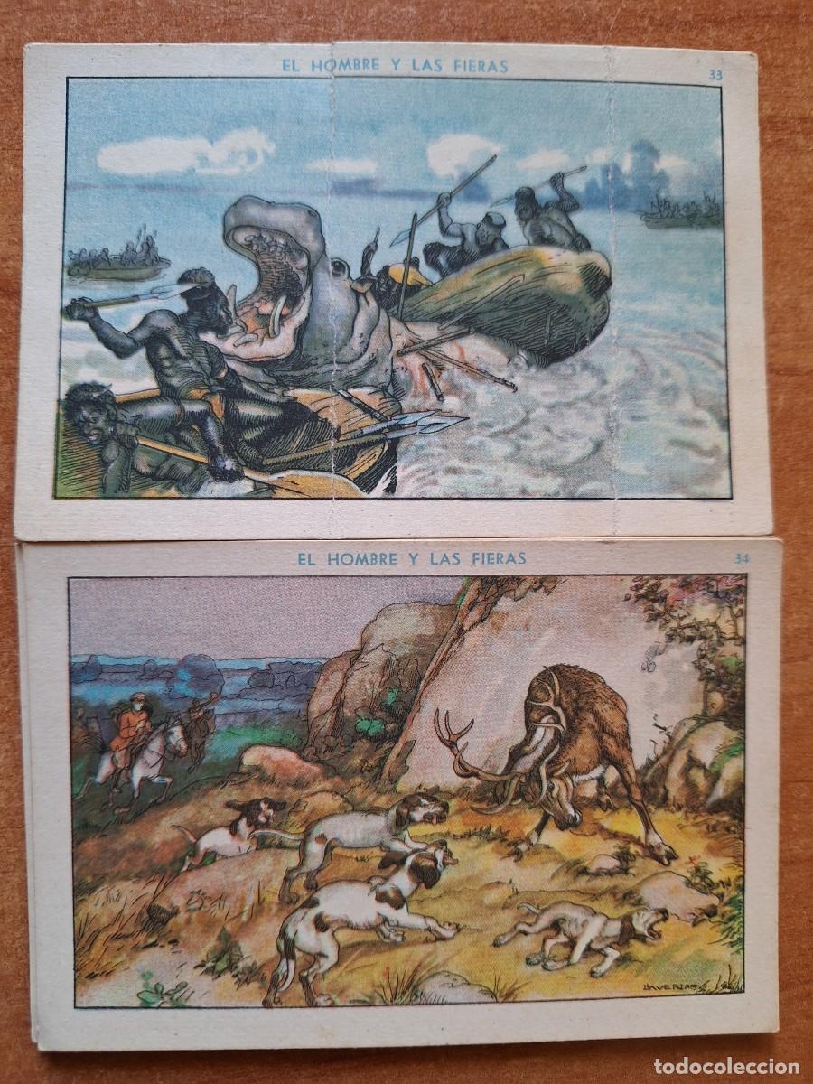 Coleccionismo cromos antiguos: COLECCI&Oacute;N COMPLETA- EL HOMBRE Y LAS FIERAS - 40 CROMOS