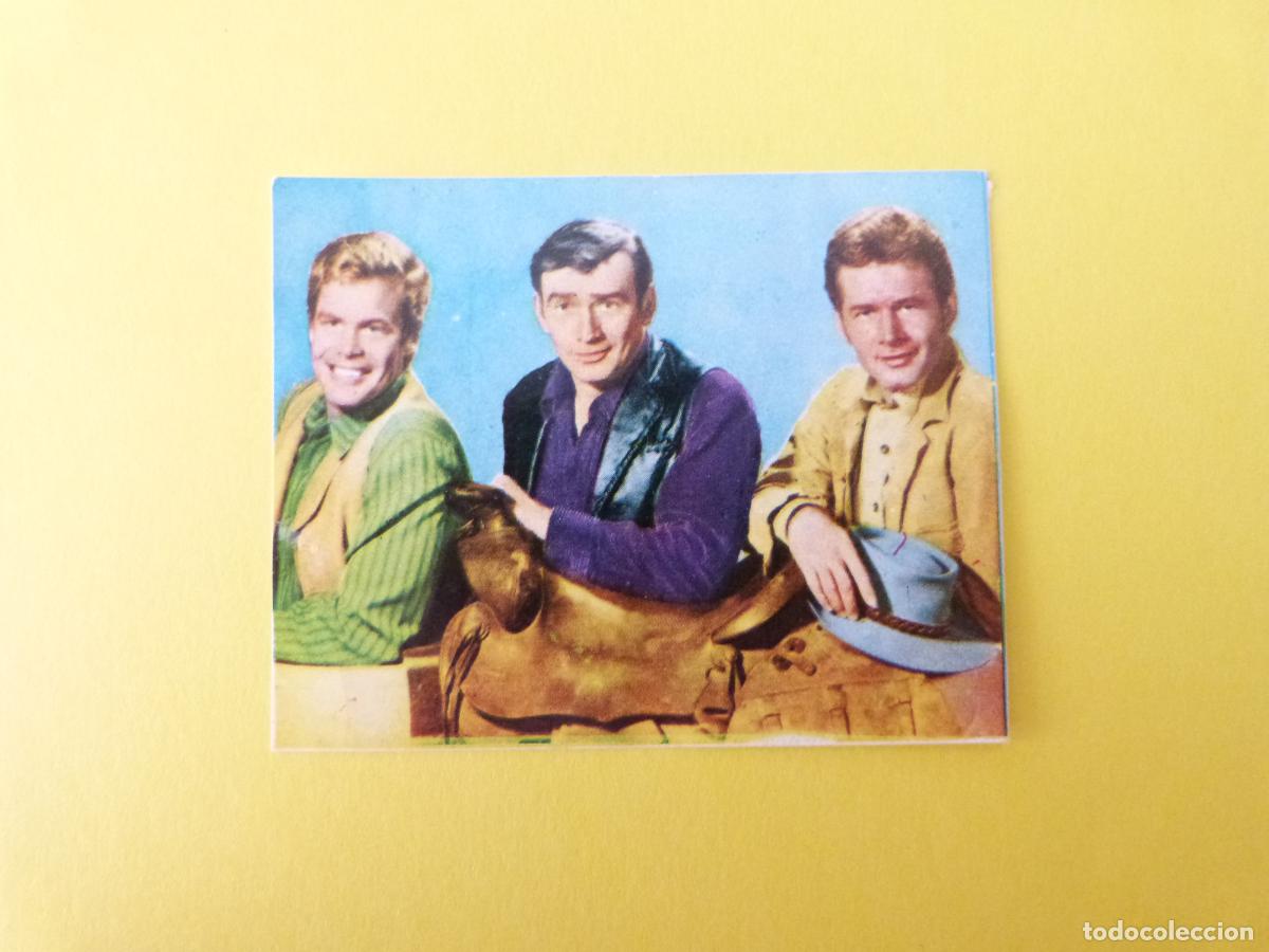 Colecionismo Cromos antigos: CROMO FIGURAS DE LA T.V. DESPEGADO N&ordm; 47 A&Ntilde;O 1965 ALBUM FIGURAS DE LA T.V. FHER