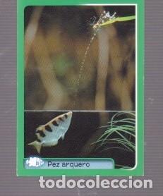 Coleccionismo cromos antiguos: CROMO DE CASA PANINI DE EL GRAN &Aacute;LBUM DE ANIMALES N&ordm; 169 DEL A&Ntilde;O 2014