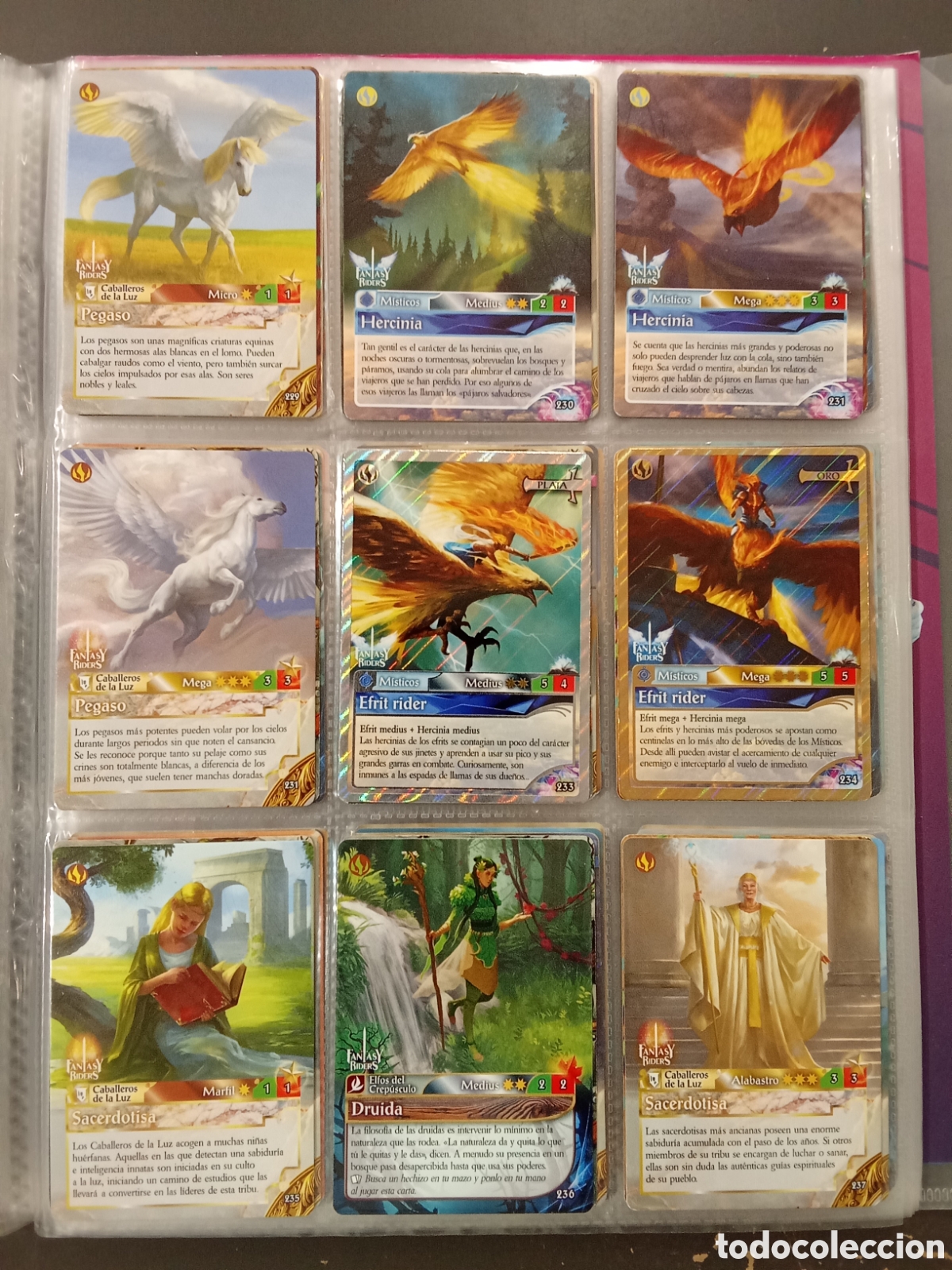 Coleccionismo cromos antiguos: Cartas Lote B Fantasy Riders Panini