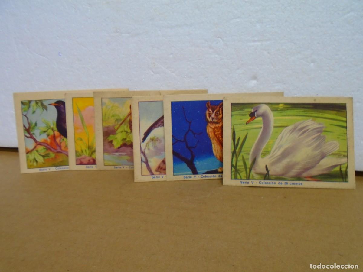 Coleccionismo cromos antiguos: JATIVA(VALENCIA)CHOCOLATES CHIQUILIN.HISTORIA NATURAL. N&ordm; 13-14-17-19-20-24.