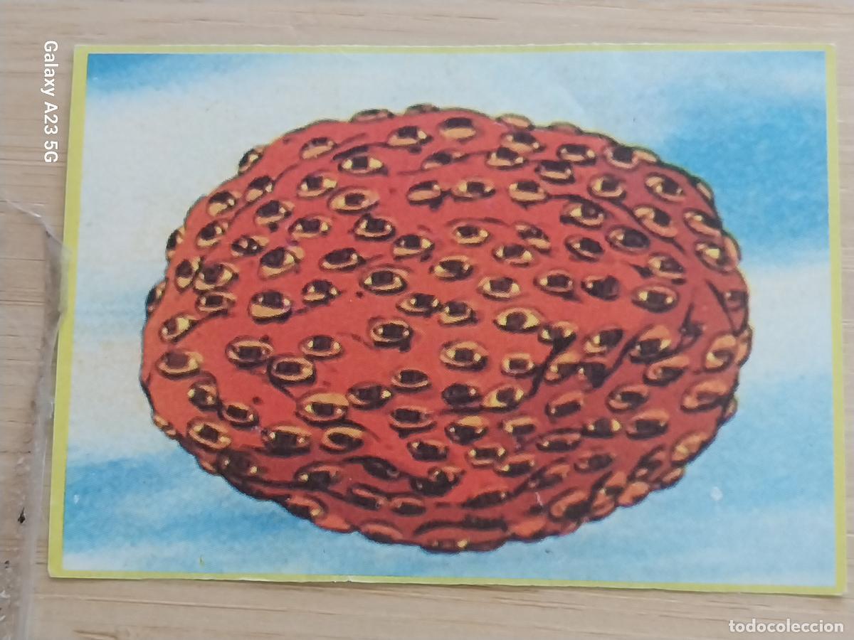 Coleccionismo cromos antiguos: COMANDO G 1980 ED DANONE CROMO 56 ** SIN PEGAR NUNCA PROMO YOGUR