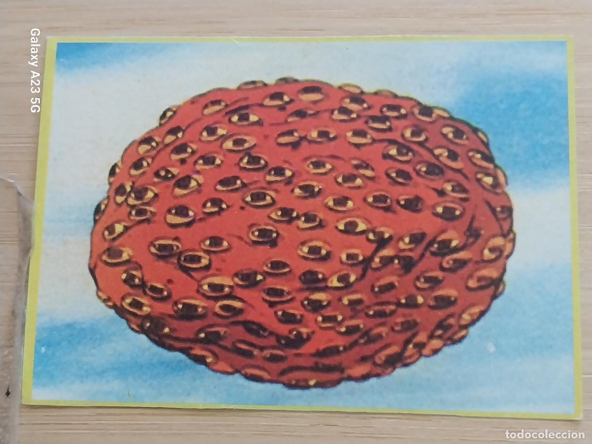 Coleccionismo cromos antiguos: COMANDO G 1980 ED DANONE CROMO 56 * SIN PEGAR NUNCA PROMO YOGUR