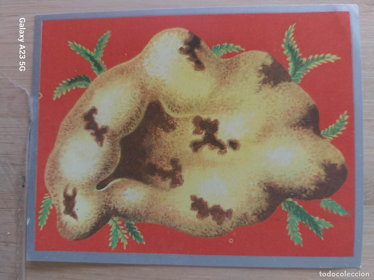 Collectionnisme Cartes &agrave; collectionner anciennes: MIXOFITAS A&Ntilde;O 1969 ZOOLOGIA BOTANICA MAGA CROMO 210 * SIN PEGAR NUNCA PAPEL FINO 9X7CMS