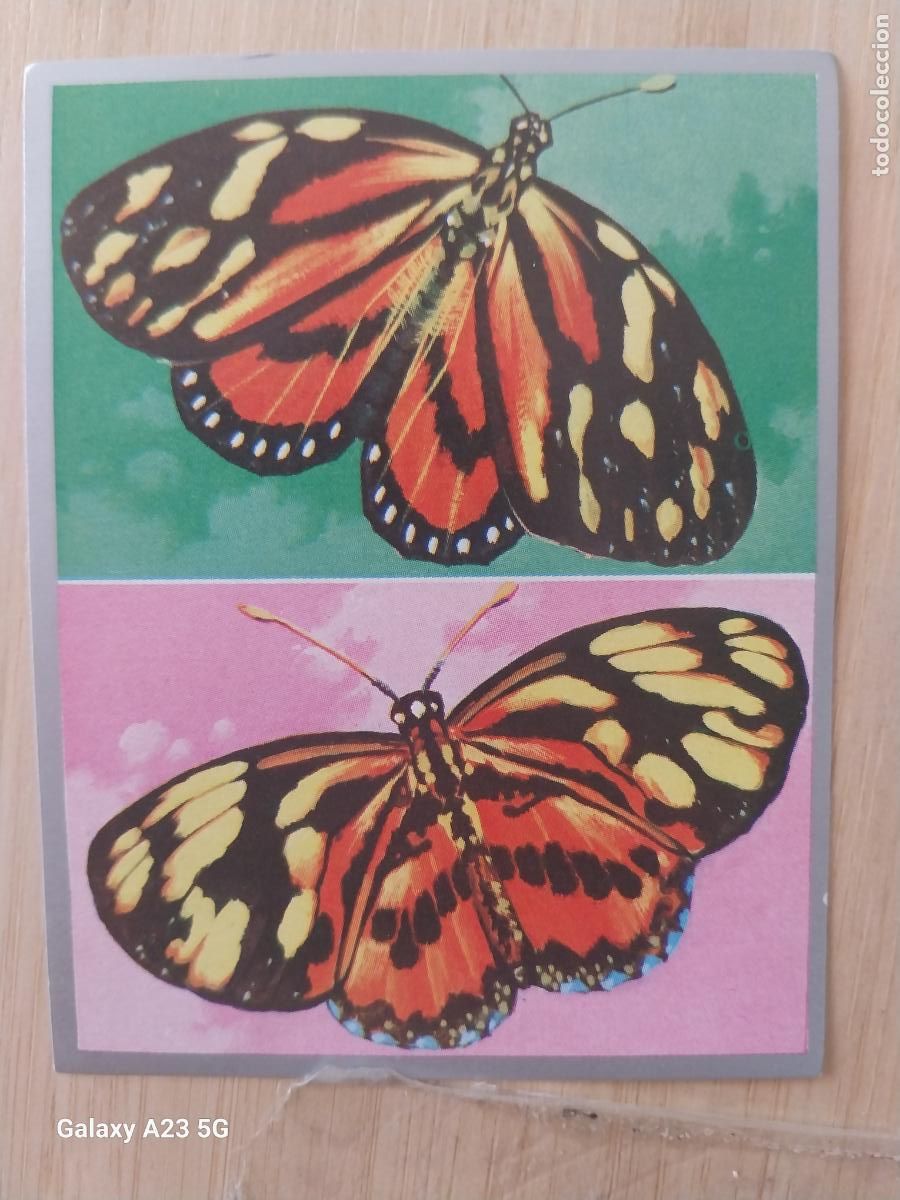 Coleccionismo cromos antiguos: DENAIDE A&Ntilde;O 1969 ZOOLOGIA BOTANICA MAGA CROMO 195 ** SIN PEGAR NUNCA PAPEL FINO 9X7CMS