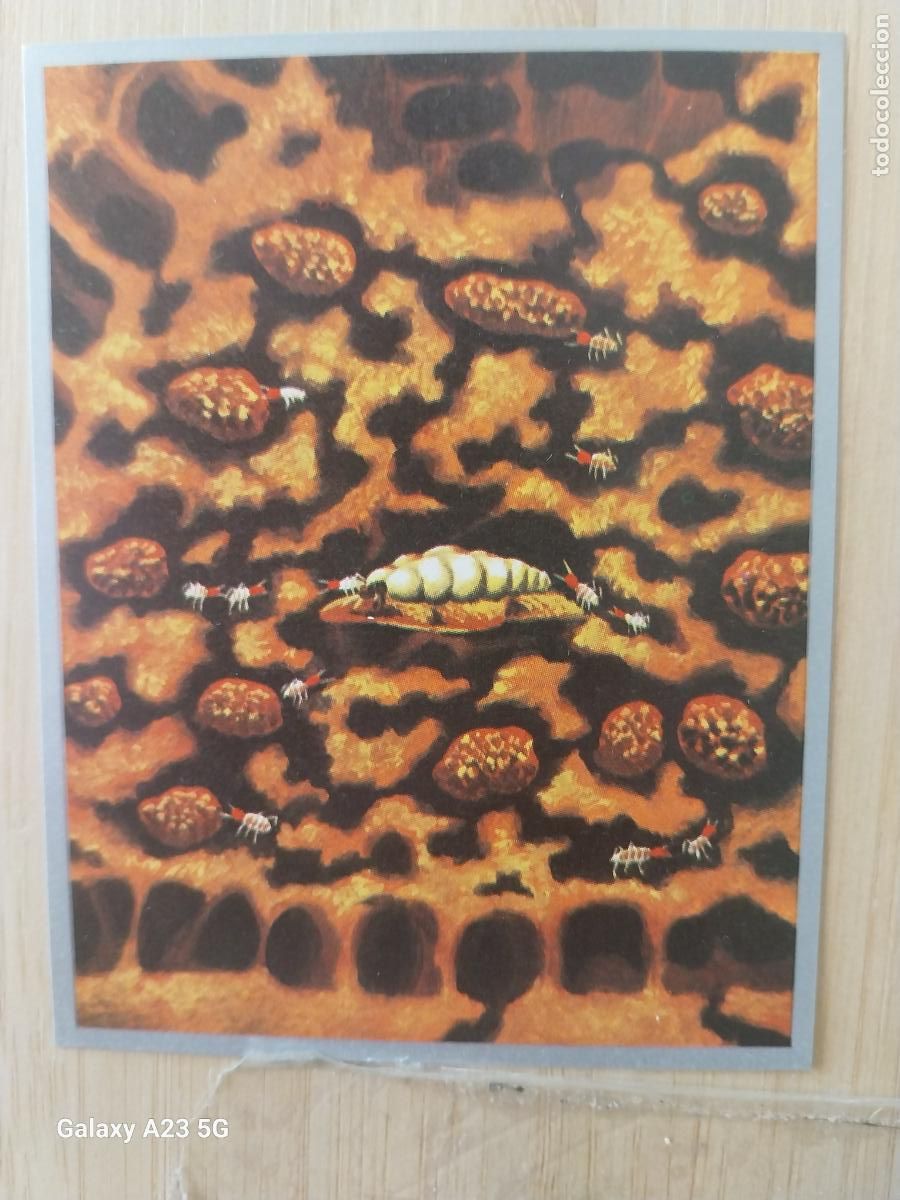 Coleccionismo cromos antiguos: TERMITA A&Ntilde;O 1969 ZOOLOGIA BOTANICA MAGA CROMO 64 SIN PEGAR NUNCA PAPEL FINO 9X7CMS
