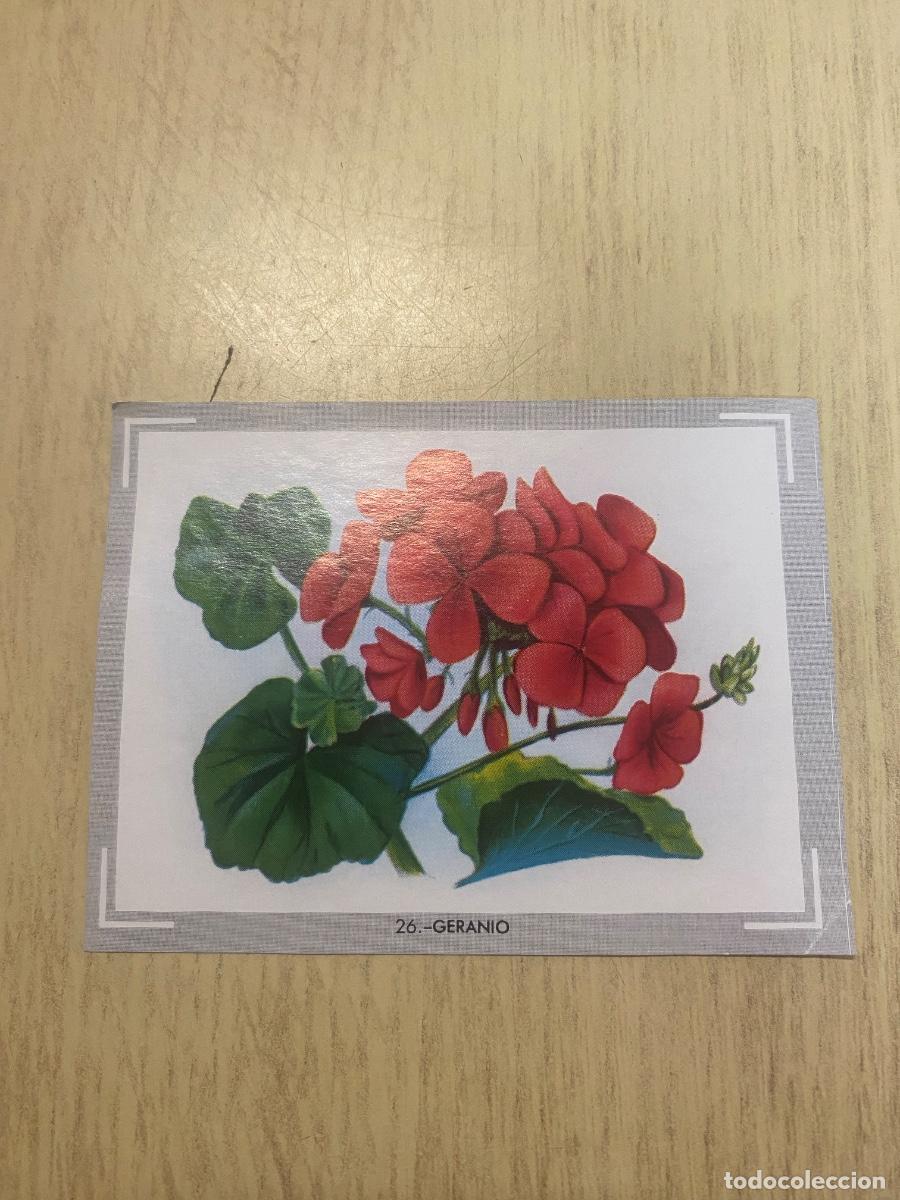 Sammeln alte Sammelbilder: Cromo del &aacute;lbum Vida y color n.26