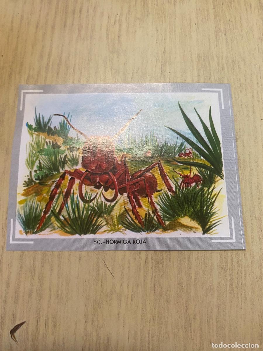 Coleccionismo cromos antiguos: Cromo del &aacute;lbum Vida y color n.50