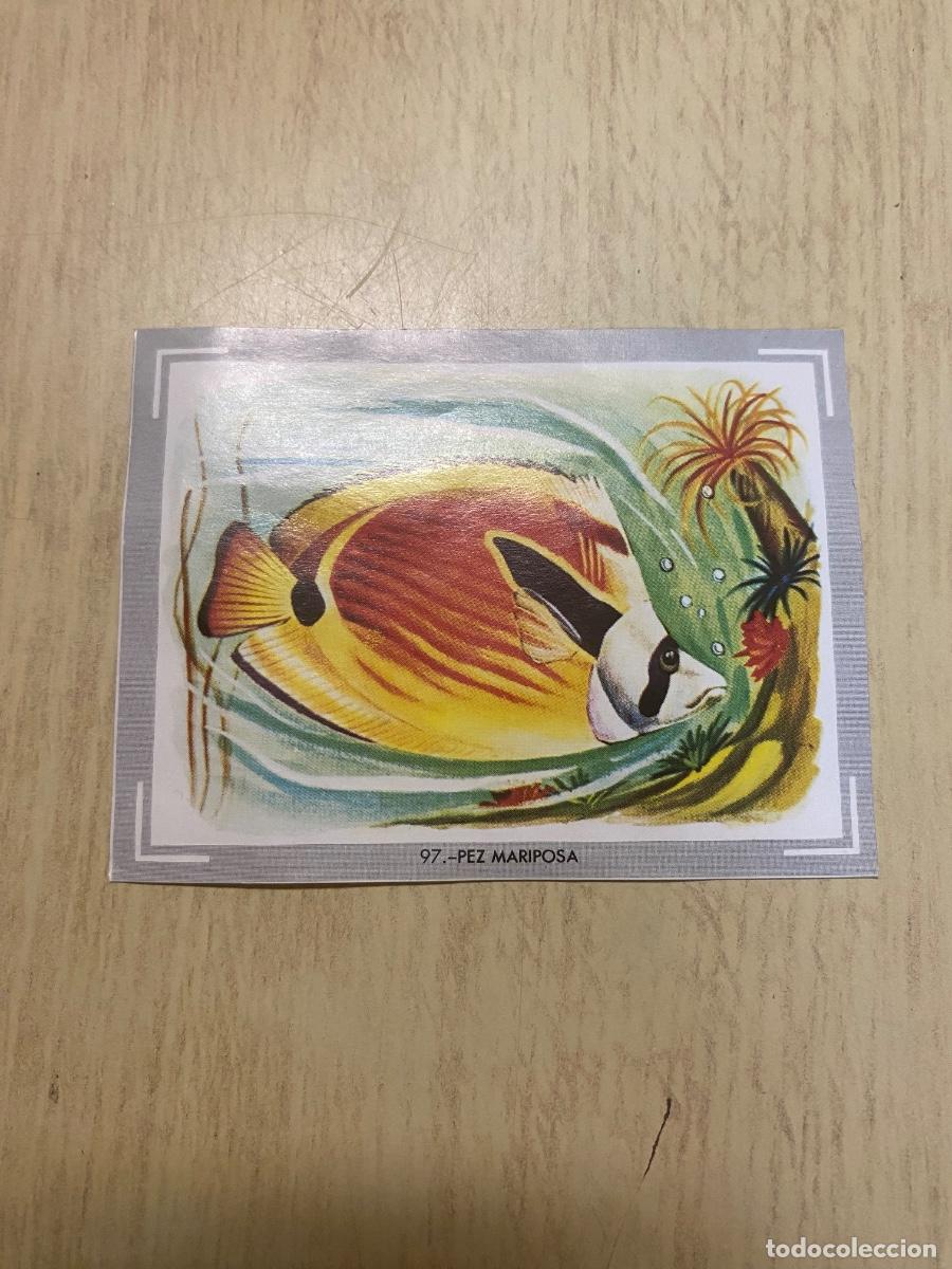 Coleccionismo cromos antiguos: Cromo del &aacute;lbum Vida y color n.97