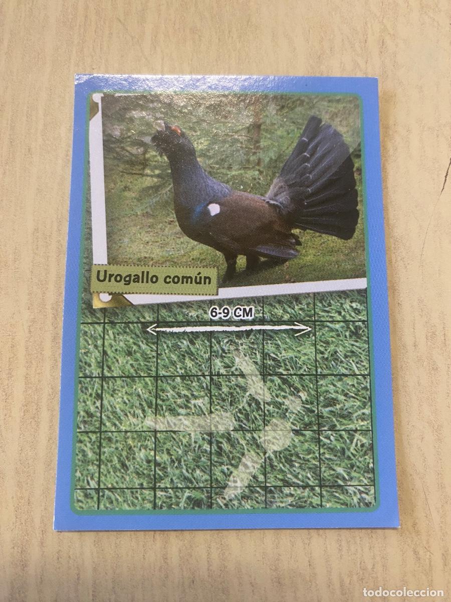 Coleccionismo cromos antiguos: Cromo sin pegar mundo animal 2913 n.45