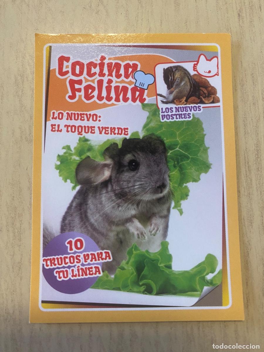 Coleccionismo cromos antiguos: Cromo sin pegar mundo animal 2913 n.82