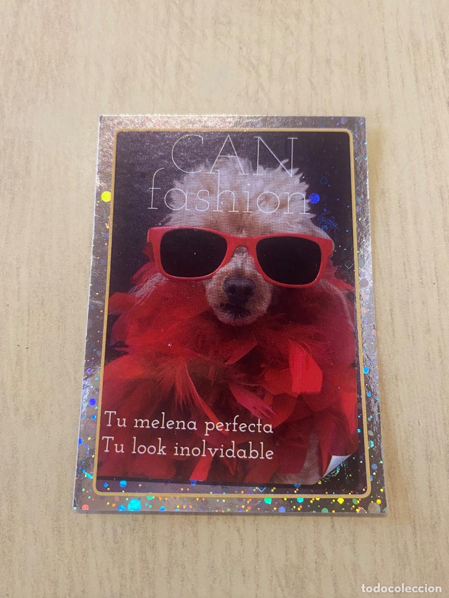 Coleccionismo cromos antiguos: Cromo sin pegar mundo animal 2913 n.83