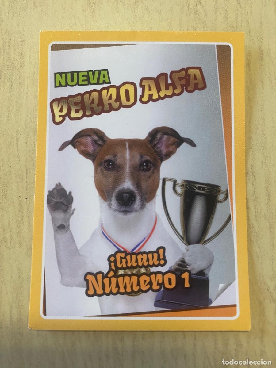 Coleccionismo cromos antiguos: Cromo sin pegar mundo animal 2913 n.86