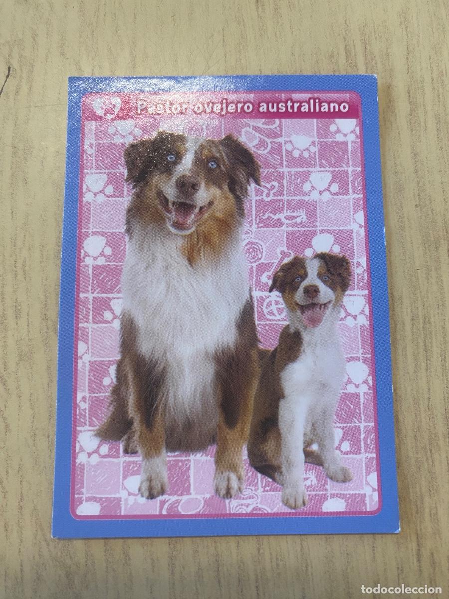 Coleccionismo cromos antiguos: Cromo sin pegar mundo animal 2913 n.106