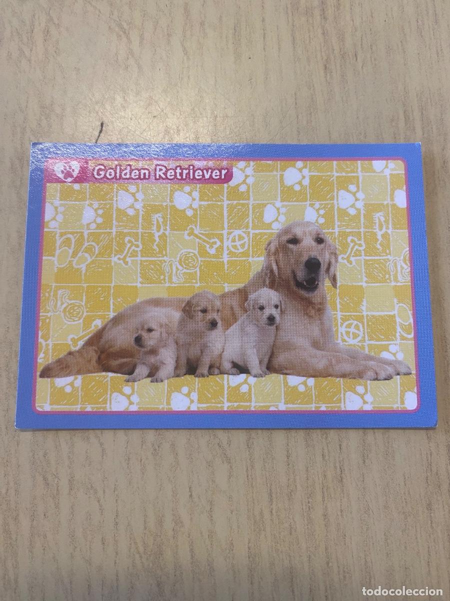 Coleccionismo cromos antiguos: Cromo sin pegar mundo animal 2913 n.107
