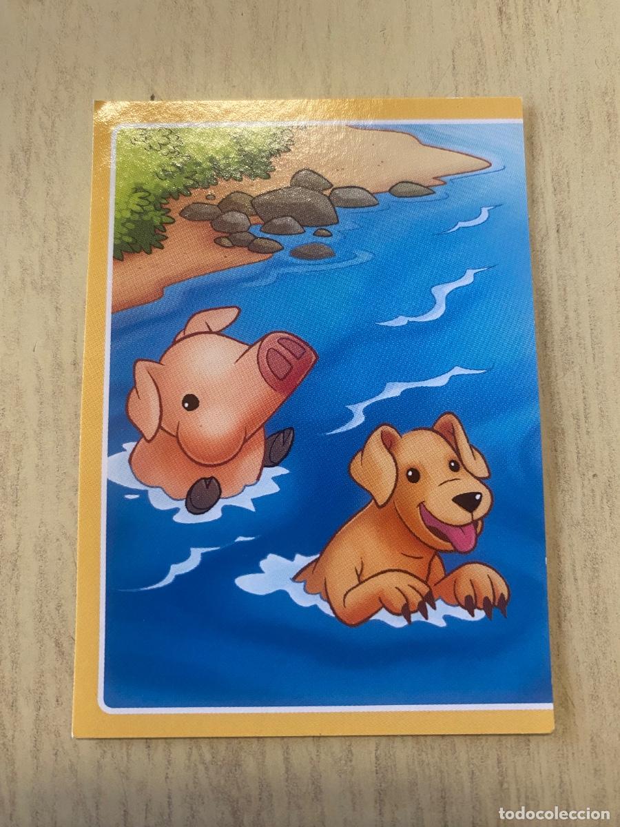 Coleccionismo cromos antiguos: Cromo sin pegar mundo animal 2913 n.122