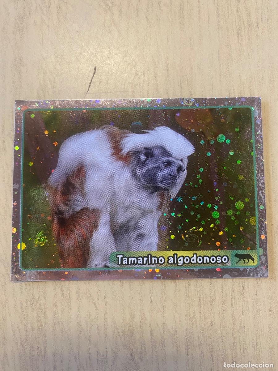 Coleccionismo cromos antiguos: Cromo sin pegar mundo animal 2913 n.167
