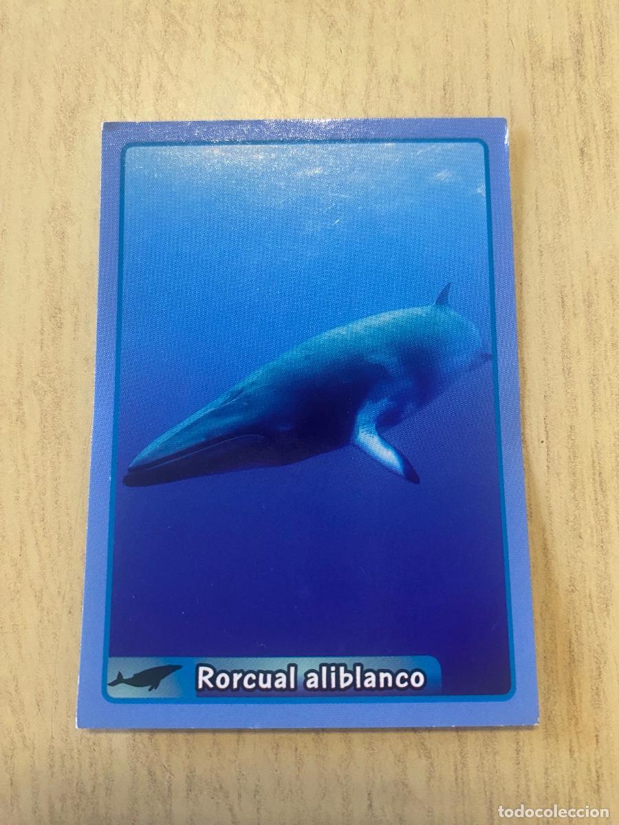 Coleccionismo cromos antiguos: Cromo sin pegar mundo animal 2913 n.169