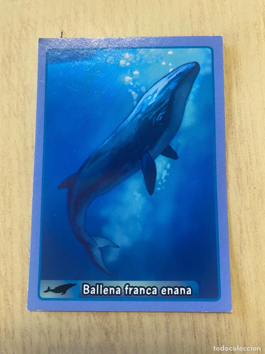 Coleccionismo cromos antiguos: Cromo sin pegar mundo animal 2913 n.175