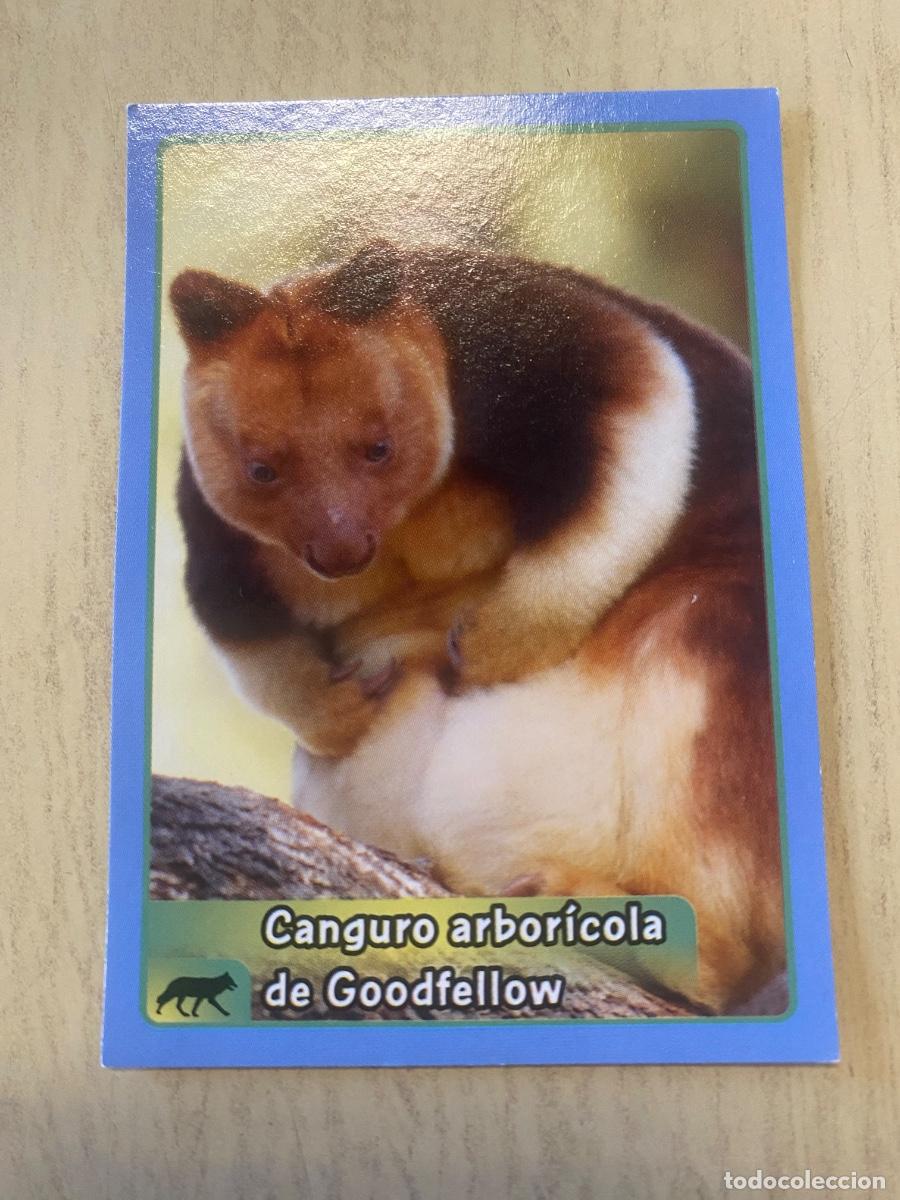 Colecionismo Cromos antigos: Cromo sin pegar mundo animal 2913 n.188