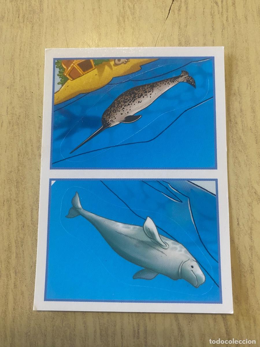 Coleccionismo cromos antiguos: Cromo sin pegar mundo animal 2913 n.170 AyB