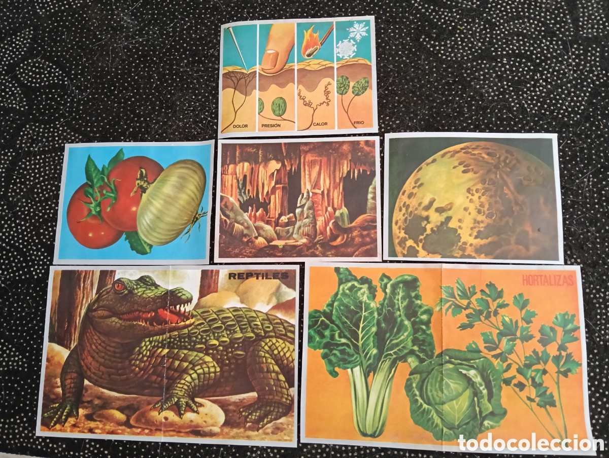 Coleccionismo cromos antiguos: Lote de 6 cromos de CIENCIAS Album Maga 1971 sin pegar