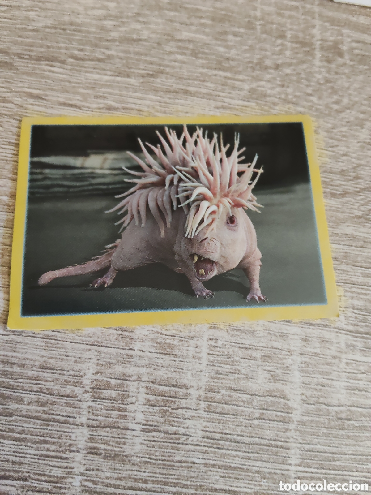 Coleccionismo cromos antiguos: Harry Potter los cr&iacute;menes de Grindelwald cromo 124