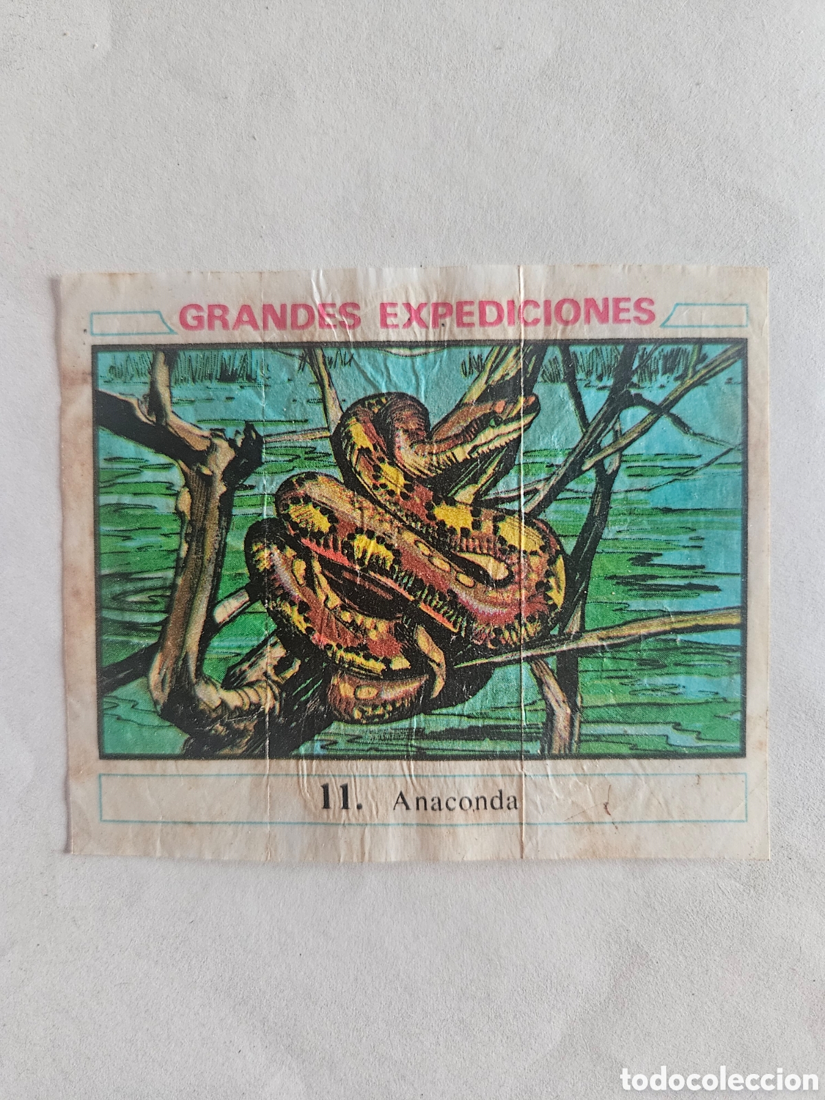 Coleccionismo cromos antiguos: CROMO - GRANDES EXPEDICIONES - N&deg; 11 ANACONDA - CHICLES DUNKIN - NUNCA PEGADO