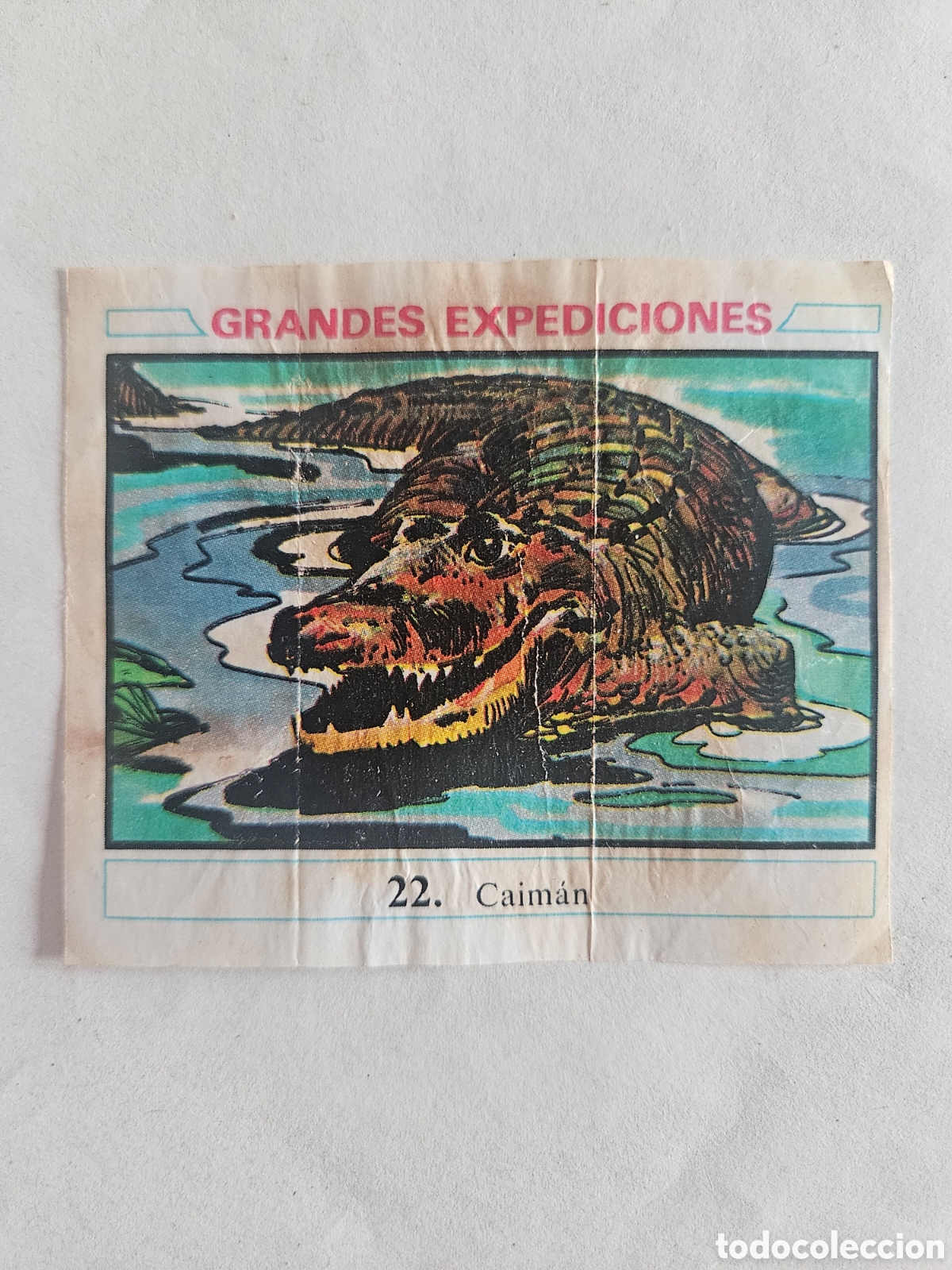 Coleccionismo cromos antiguos: CROMO - GRANDES EXPEDICIONES - N&deg; 22 CAIMAN - CHICLES DUNKIN - NUNCA PEGADO