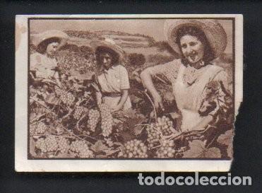 Coleccionismo cromos antiguos: ANTIGUO CROMO, 2&ordm; ALBUM GALLINA BLANCA, SERIE 73 - N&ordm; 2 - CAVAS CANALS & NUBIOLA.